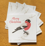 Pk of 5 Bullfinch cards by Louise Slater